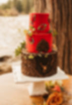 bavarian-wedding-cake-dreamin-desserts-1